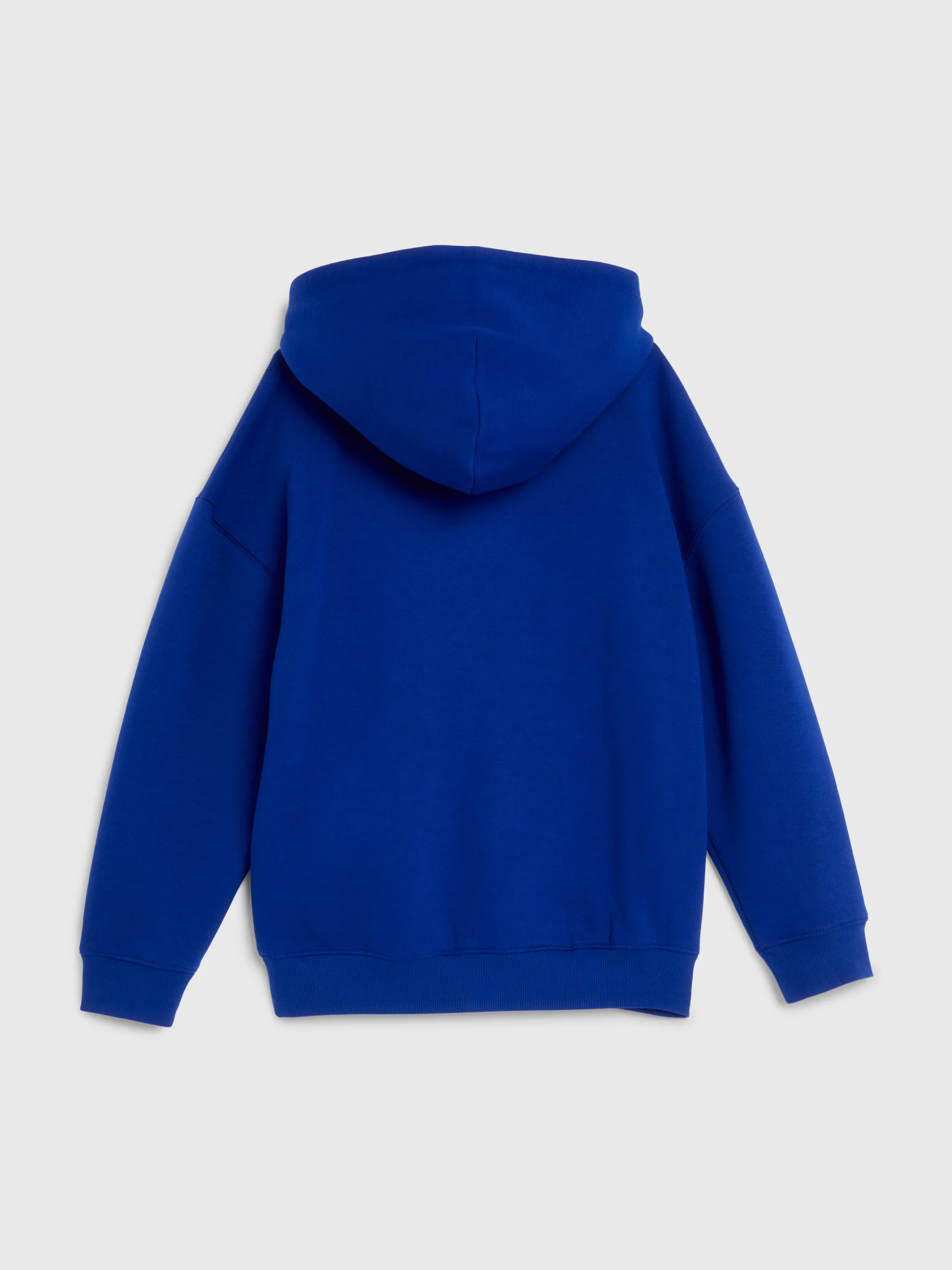 Boys 8-16 Varsity Logo Hoodie | Sweatshirts & Hoodies | Tommy Kids